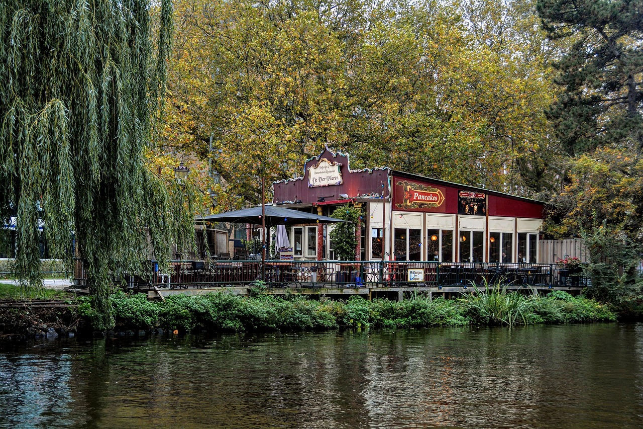 مهاجرت کاری به هلند